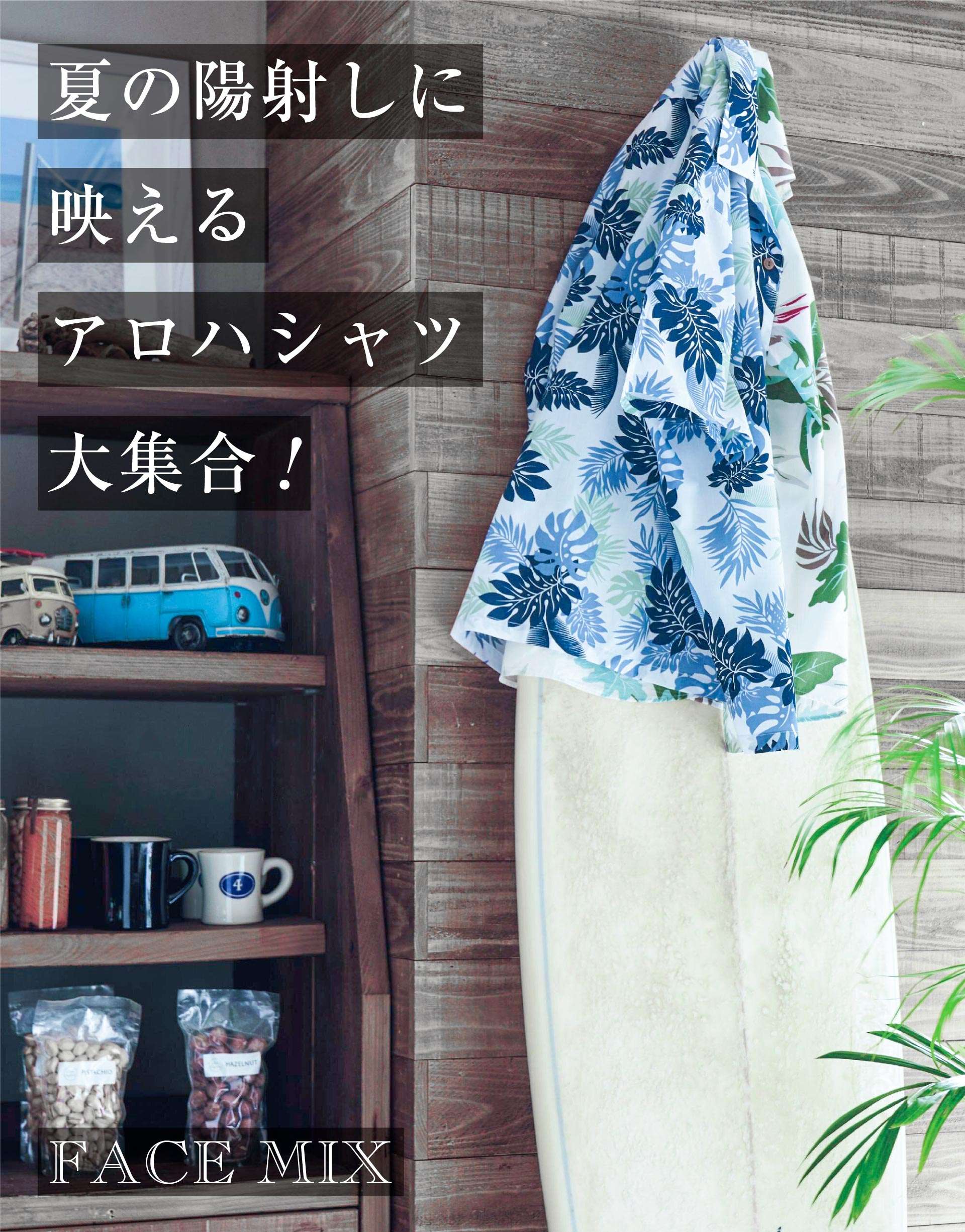 インフォ画像96回00用